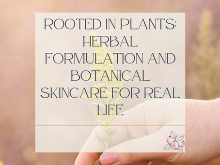 Hand holding a wild plant outdoors, representing herbal formulation and botanical skincare rooted in real-life use by Juneberry Apothecary