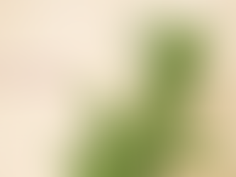 Botanical illustration of a fresh rosemary sprig with slender green needle-like leaves on a soft neutral background, labeled “Rosemary,” created for Juneberry Apothecary herbal blog content.