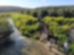 נחל תנינים. צילום: אמנון הראל