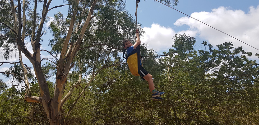 אומגה בחורשה.jpg