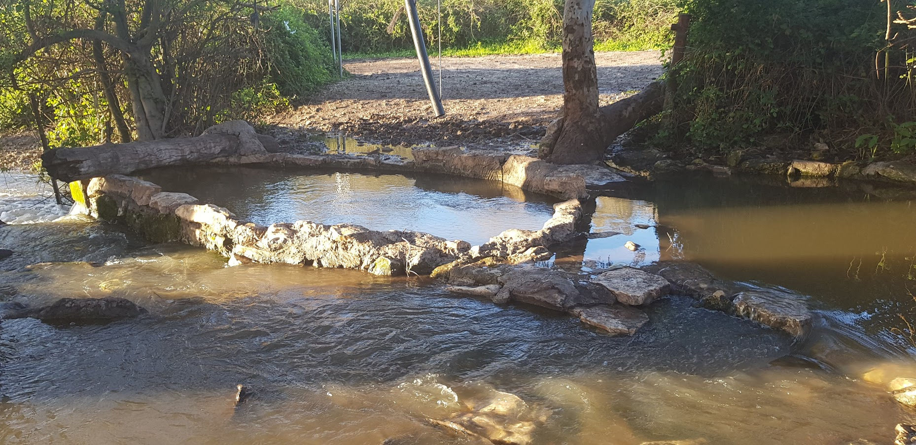 לעין נילי ברגל מגבעת נילי