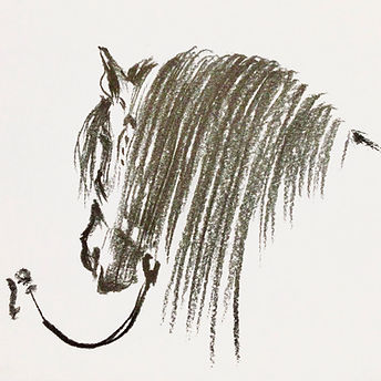image0 (1).jpeg