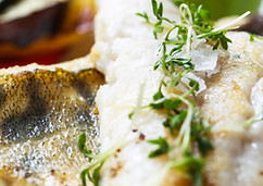 Filé de peixe