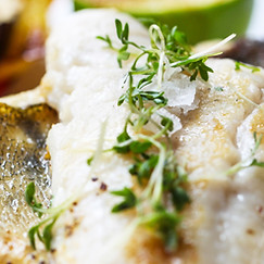 Fish Fillet