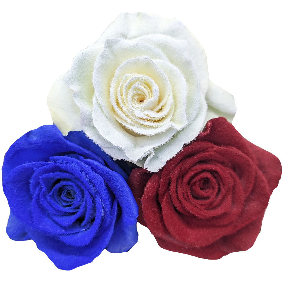 Patriotic Bloom