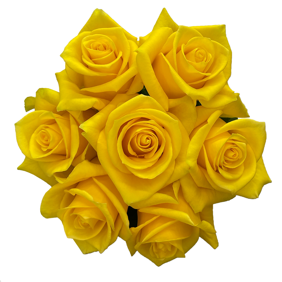 Miniatura: Momentum