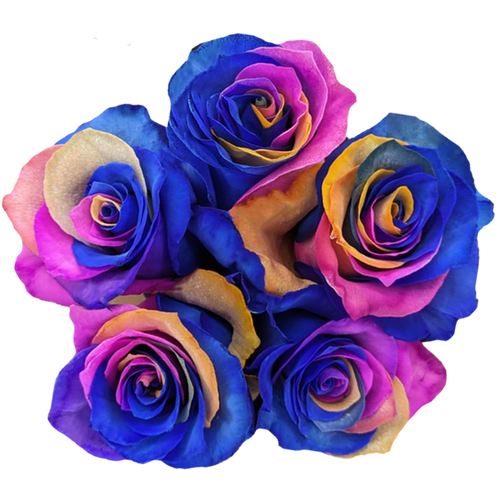 tropic-riot-florecal