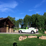 Tree Spraying