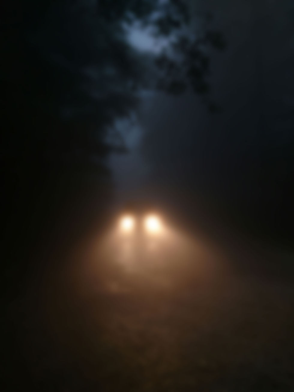 carnight.jpg