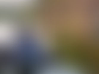 วันเสาร์ที่ ๑๗ มกราคม พุทธศักราช ๒๕๖๙