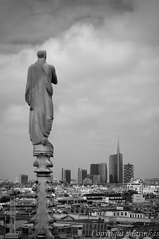 DSC_0411.jpg