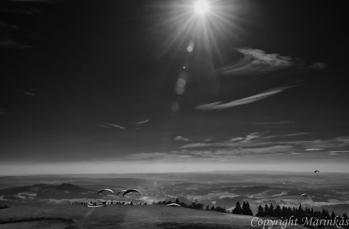 DSC_7723-Edit.jpg