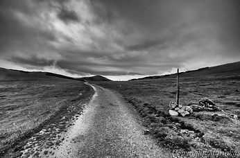 DSC_4031-Edit.jpg