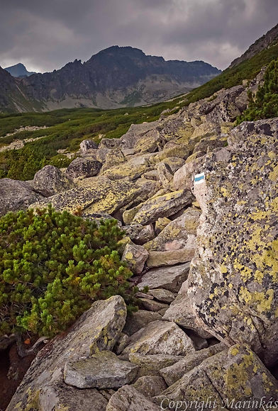 _DSC7257.jpg