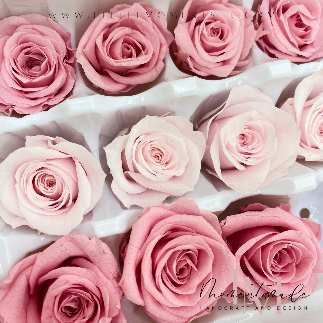 玫瑰花保鮮花及乾花材料 DIY材料 3色套裝 - 粉紅系