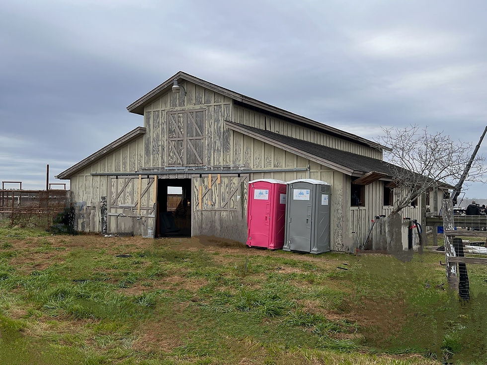 Pink and gray porta potty in front of a weathered barn