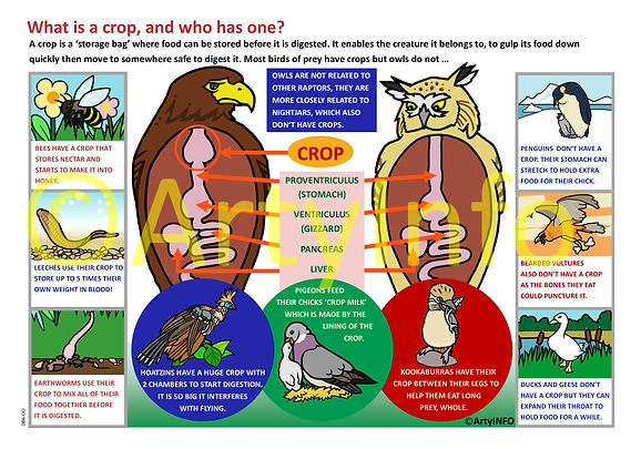 What is a crop information board