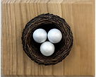 eggs_edited.png