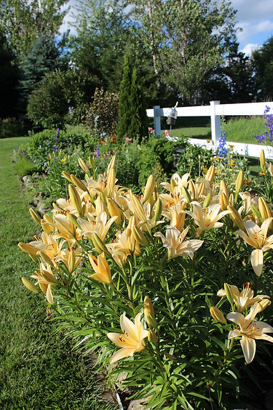 Sioux Falls Garden | sdgardenclubs