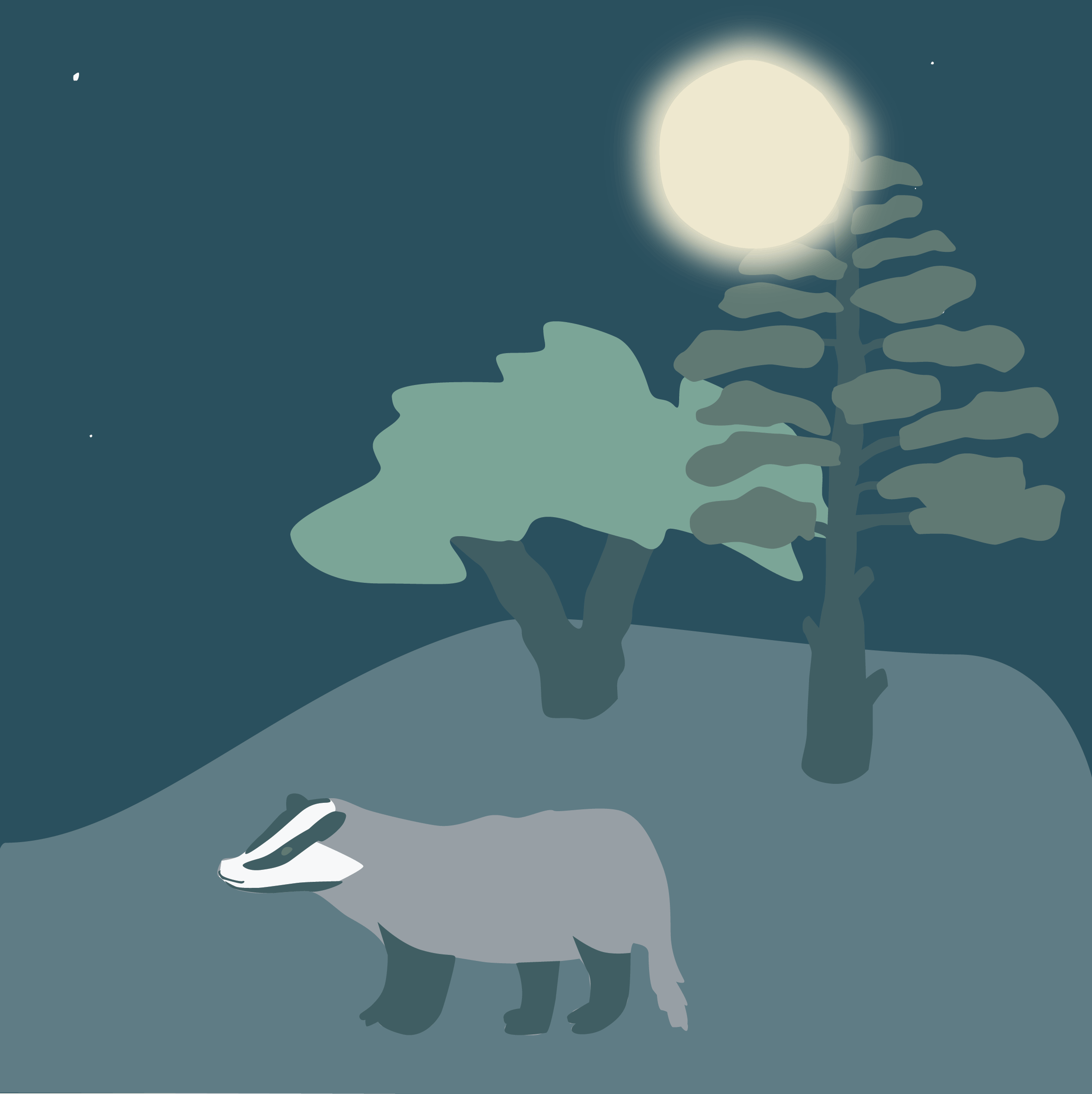 NIGHT-BADGER.gif