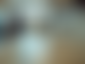 The Importance of Clear Business Policies in Your Store