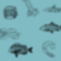 Fish and chix background_coral blue.png