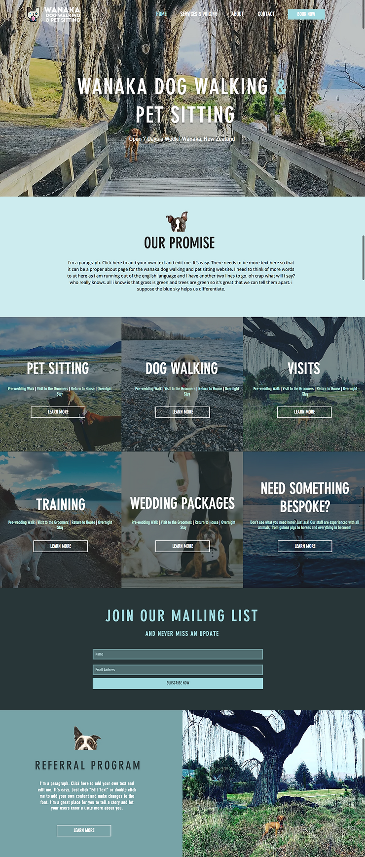 Wanaka Dog Walking - Home screenshot Nov