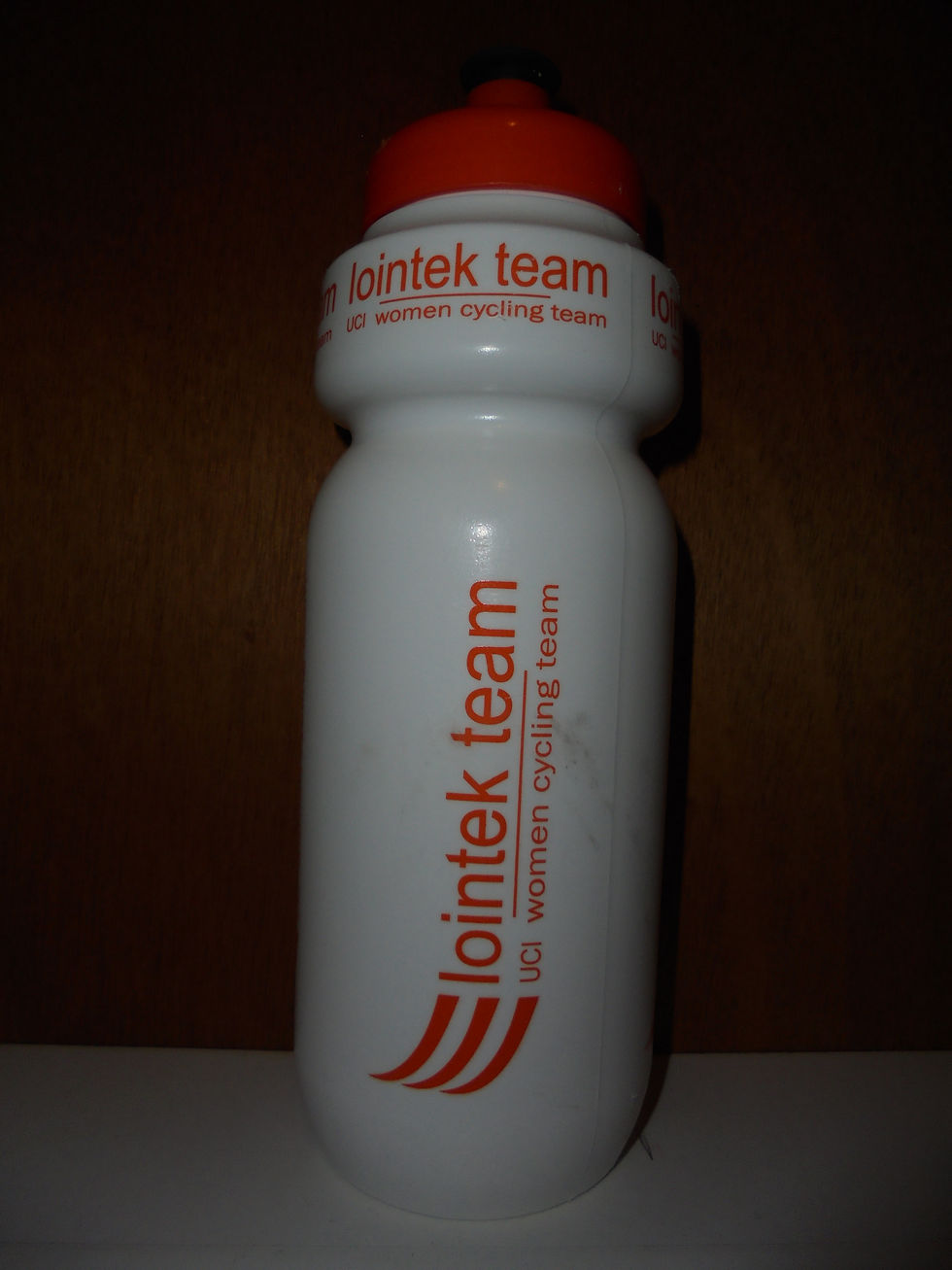 Lointek Team