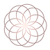 flower.png