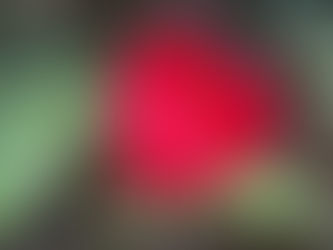 Dozen Photo Challenge: Best Photo