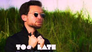 Too Late by David Sheetrit.jpg