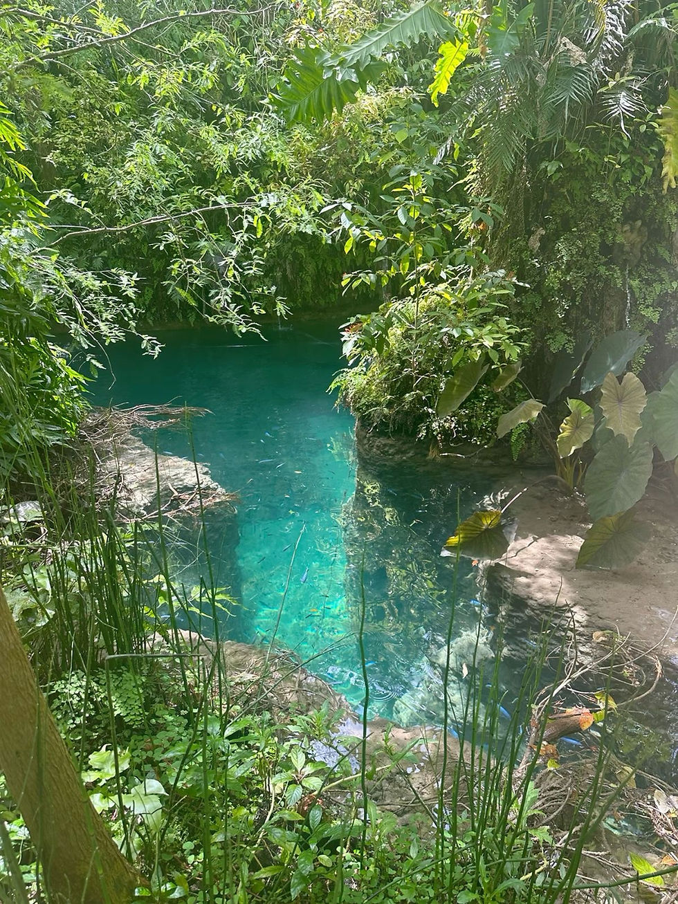 image0 (74).jpeg