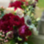 IMG_1650.jpeg