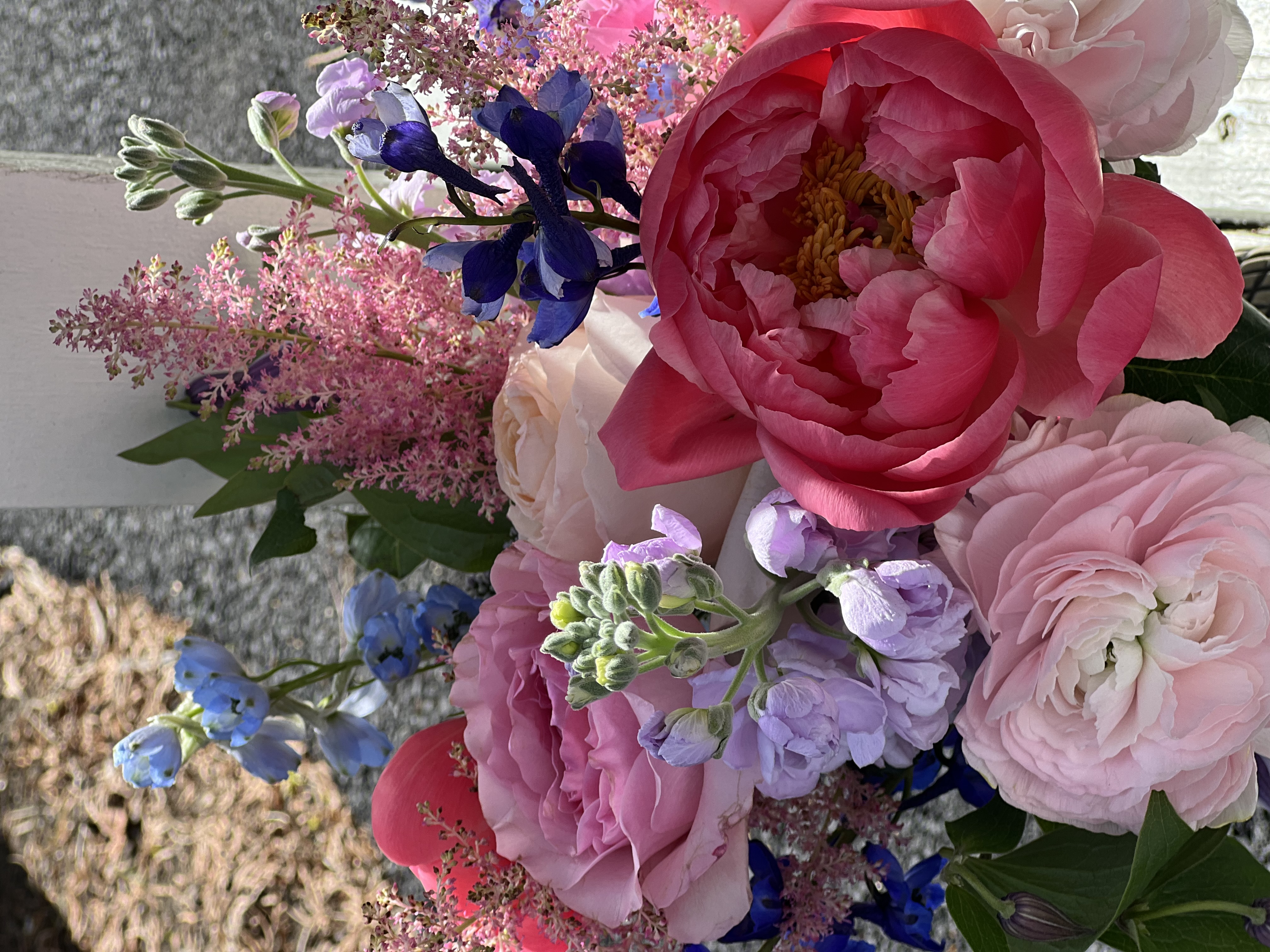 IMG_7325.jpeg