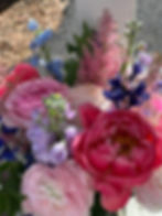 IMG_7325.jpeg