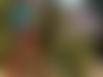 Grow Marijuana Legally in Hawaii: What the 329 Card Allows