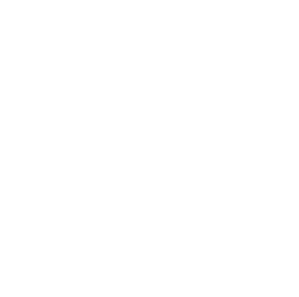 Wang Family Tea