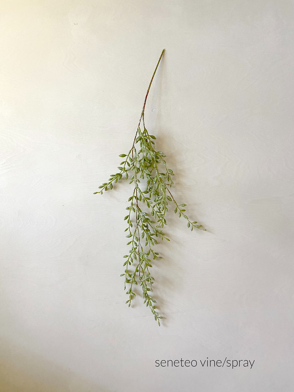 Thumbnail: Wire cone wall pocket, optional vine