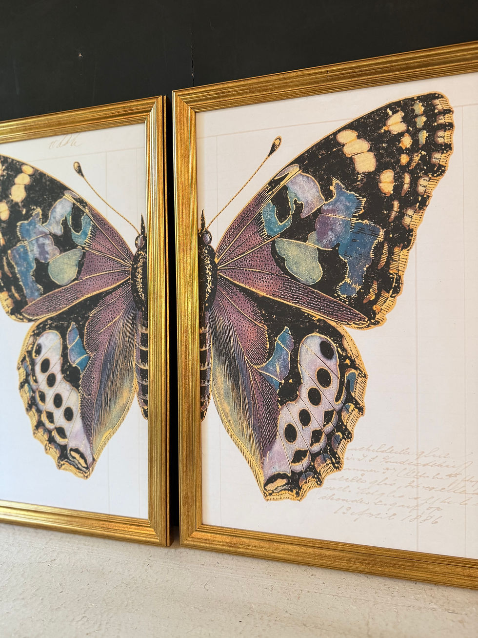 Thumbnail: Classic Butterfly Duo | Elegant Gold Framed Vintage Prints