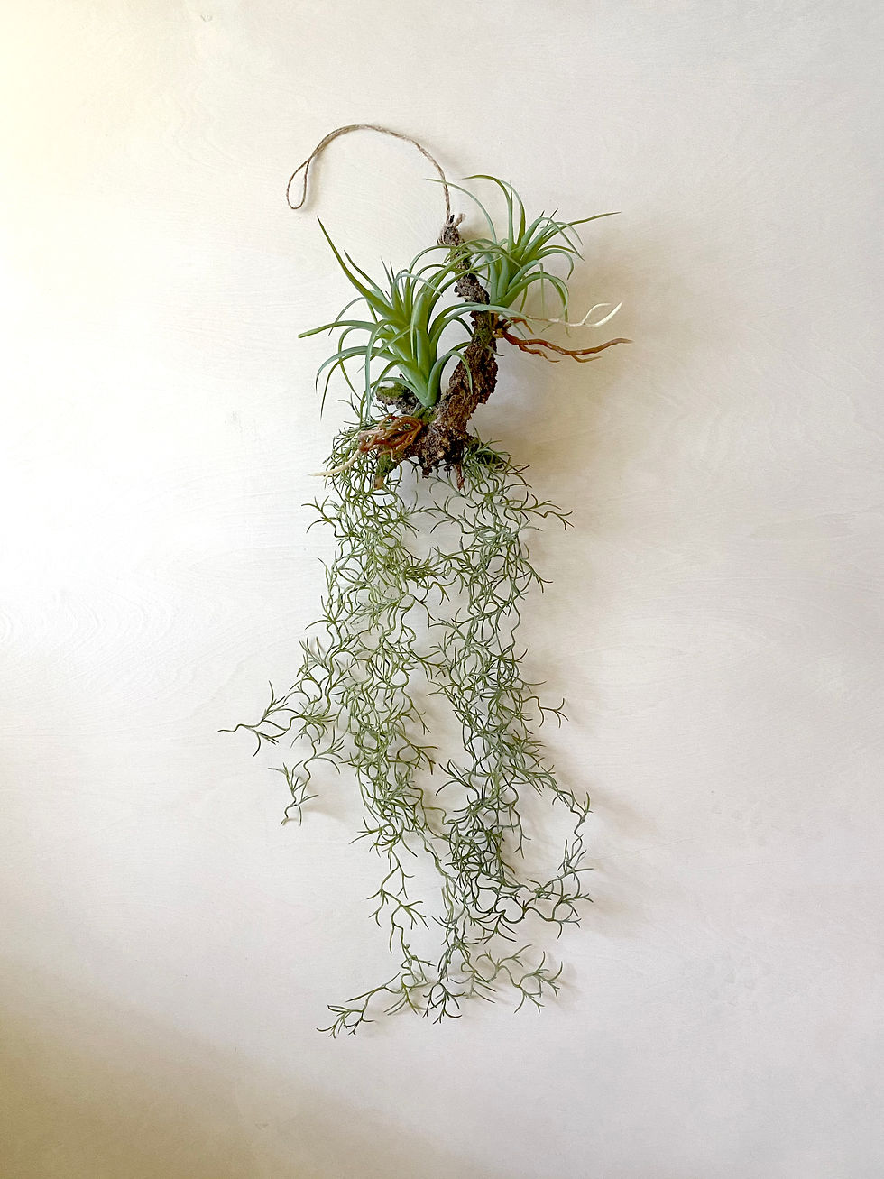 Thumbnail: Hanging Air Ferns on Branch - artificial