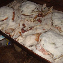 A Salgadeira