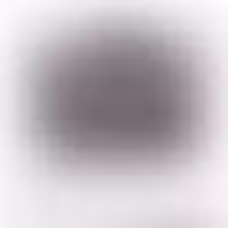 Os Fundadores da Sociedade Musical Santanense