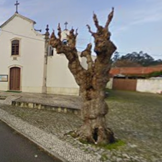 Fevereiro 2010 - Google Maps