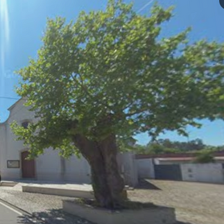 Maio 2025 - Google Maps