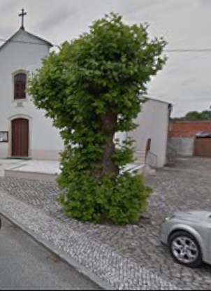 Julho 2014 - Google Maps