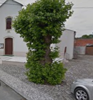 Julho 2014 - Google Maps