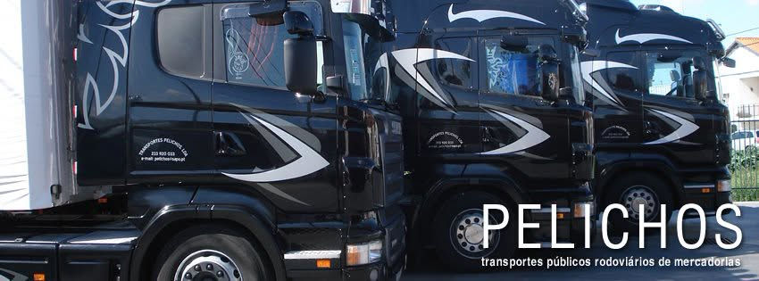Foto: página Facebook Transportes Pelichos