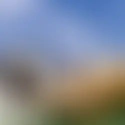 "Acordo" |  Seguro mútuo para animais de trabalho