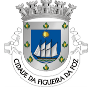 brasao_fig_foz_edited.png
