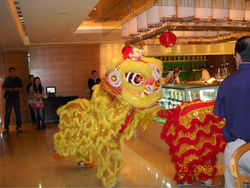 International Travel